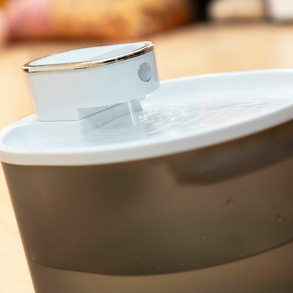 Kissan juoma-automaatti liiketunnistimella, ladattava 3 L, hiljainen USB-C