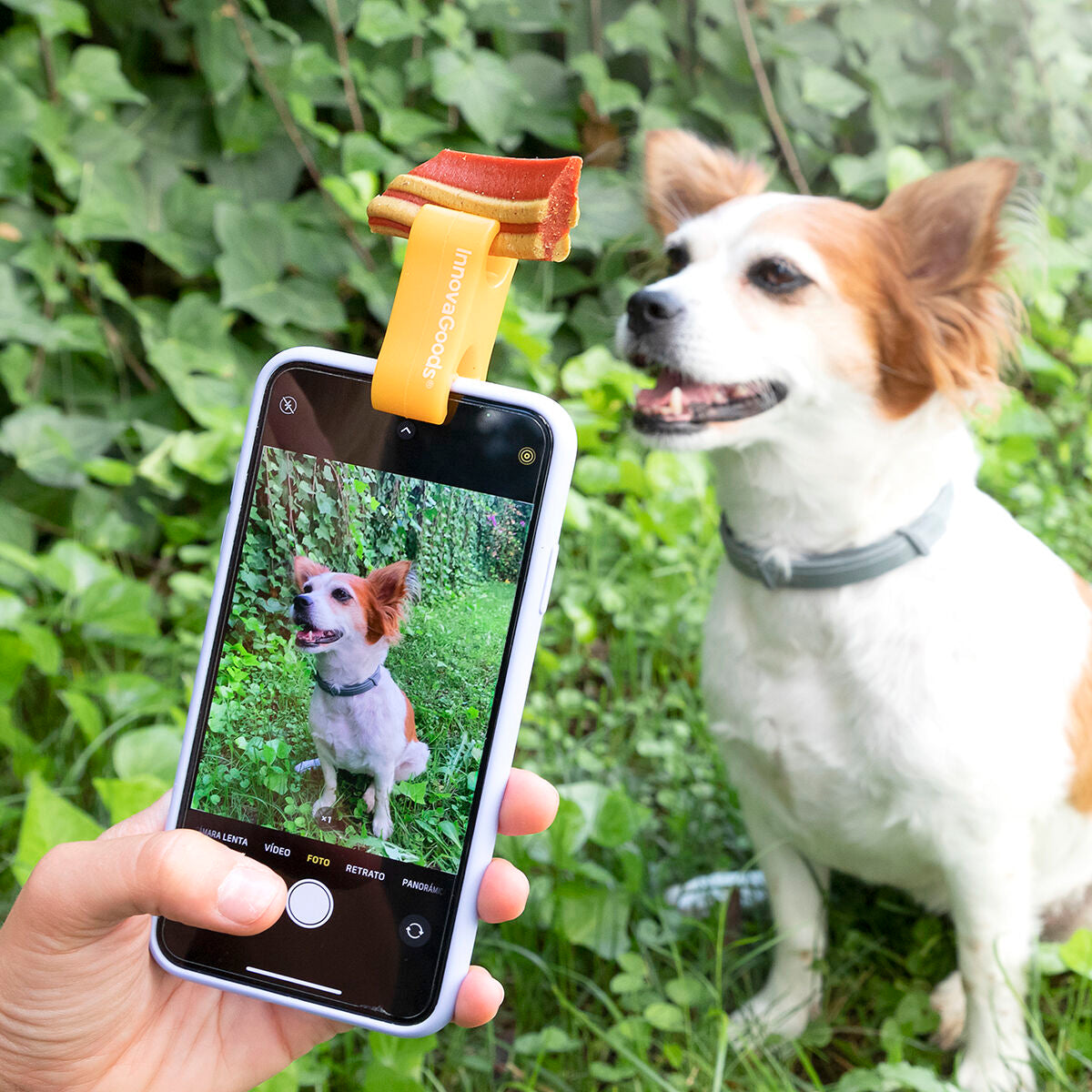 Koiran & kissan selfie pidike puhelimeen, herkkupidike, silikoninen, oranssi – sosiaalisen median kuvat puhelinpidike – ku…
