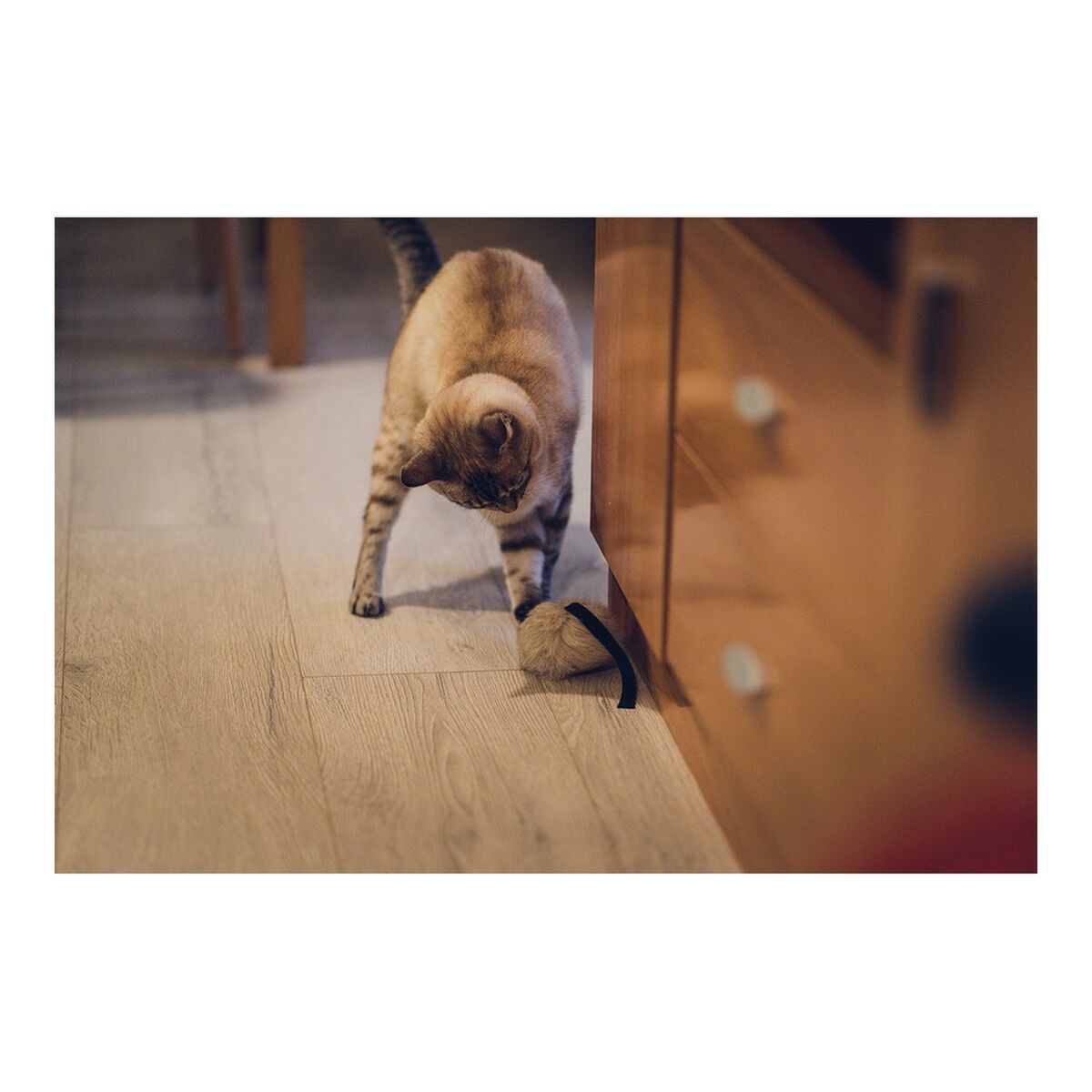 Kissan lelu hiiri 100 % luonnollinen, ekologinen, pehmeä takilla kissoille