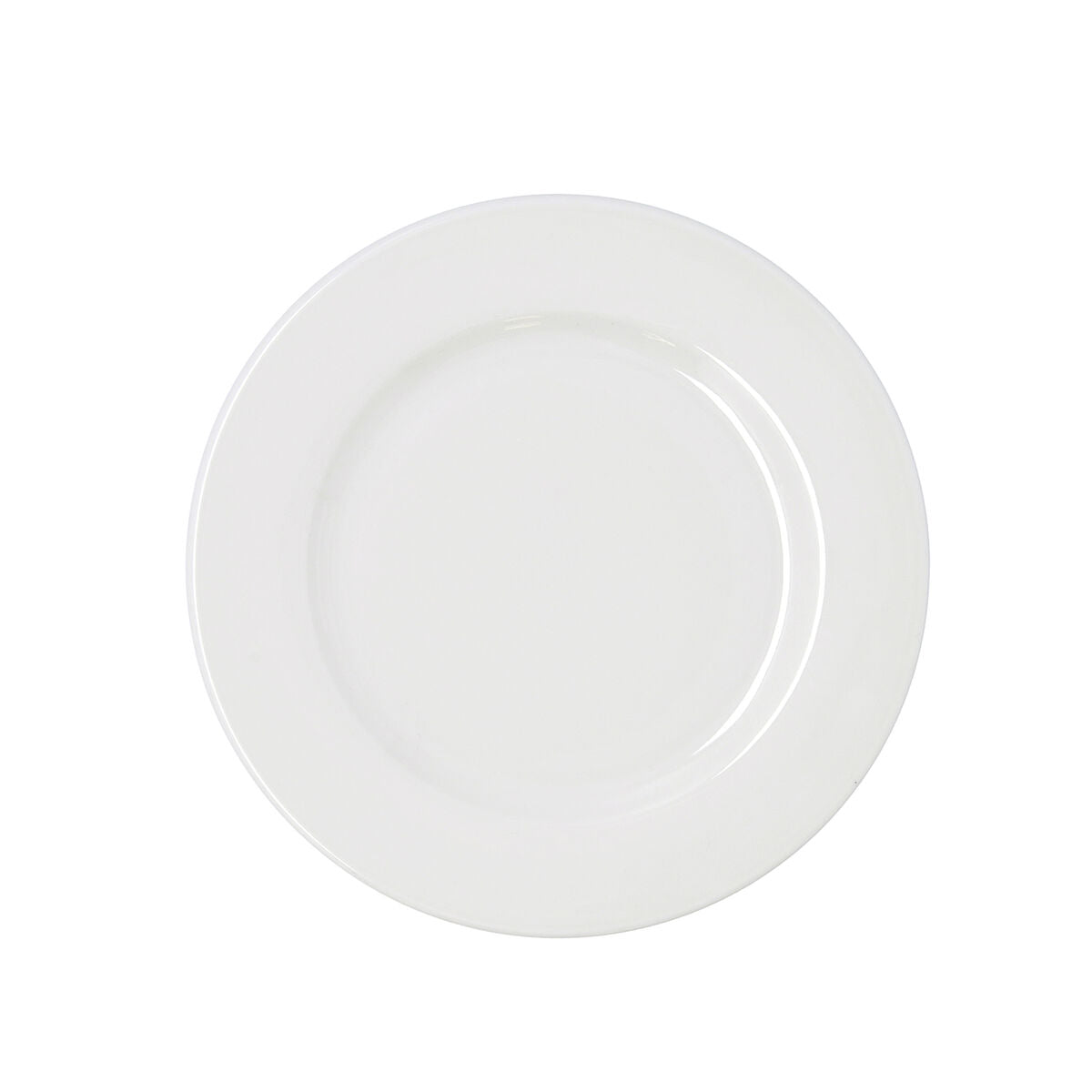 Ruokalautanen 25 cm, astianpesukoneenkestävä valkoinen keramiikka, 6 kpl