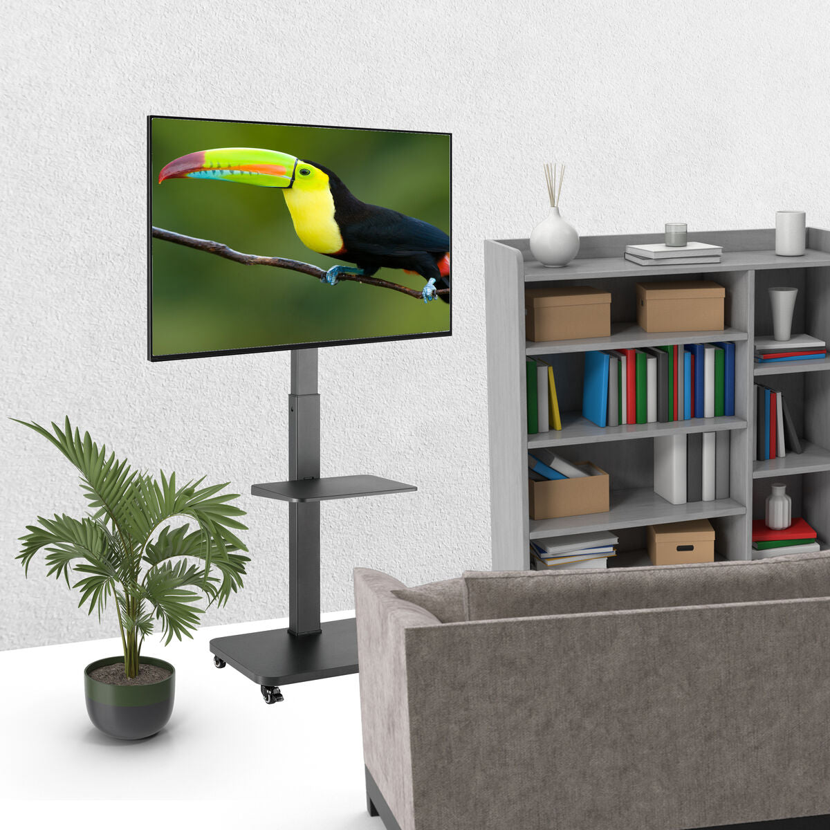 TV-teline 40 kg pyörillä, liikuteltava hylly mediakäyttöön, säädettävä, musta